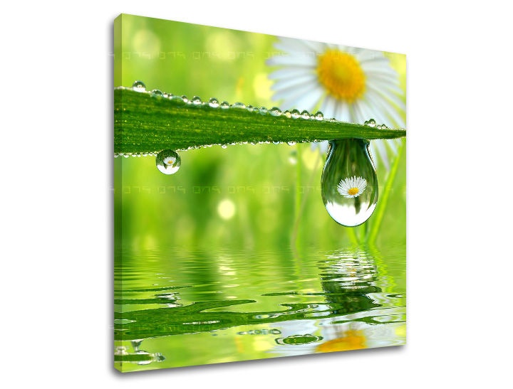 E-shop Obraz na stenu KVETY KV016E12 - 50x50 cm