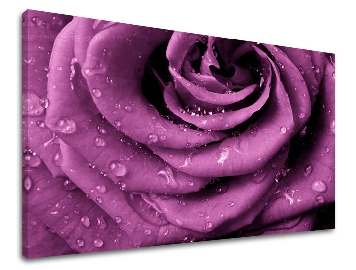 E-shop Obraz na stenu KVETY KV019E11 - 100x150 cm