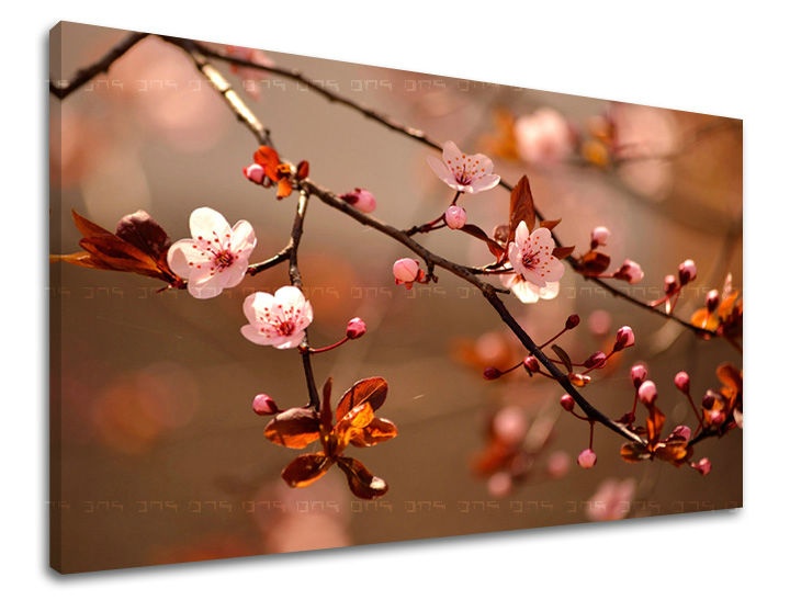 E-shop Obraz na stenu KVETY KV029E11 - 60x90 cm