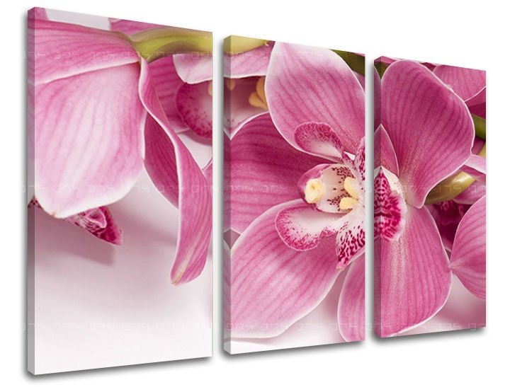 E-shop Obraz na stenu 3 dielny KVETY KV034E30 - 120x80 cm