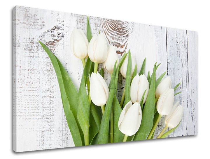 E-shop Obraz na stenu KVETY KV036E11 - 60x90 cm