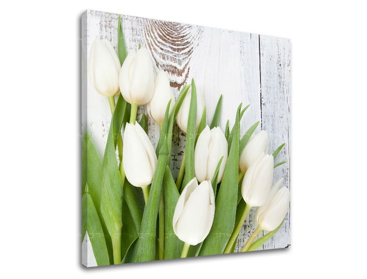 E-shop Obraz na stenu KVETY KV036E12 - 40x40 cm