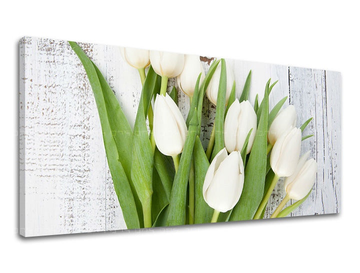 E-shop Obraz na stenu PANORÁMA KVETY KV036E13 - 40x80 cm