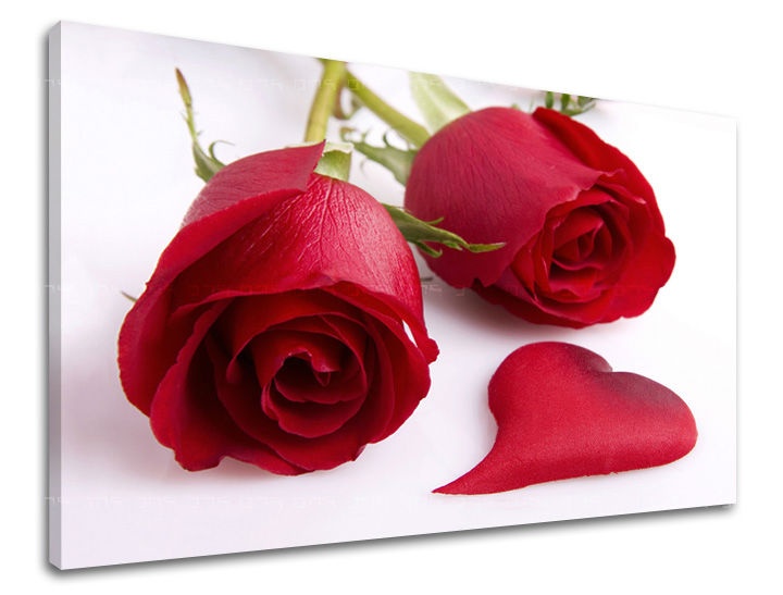 E-shop Obraz na stenu KVETY KV041E11 - 40x60 cm