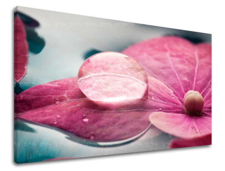 E-shop Obraz na stenu KVETY KV044E11 - 60x90 cm