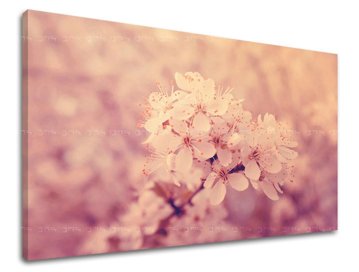 E-shop Obraz na stenu KVETY KV049E11 - 60x90 cm