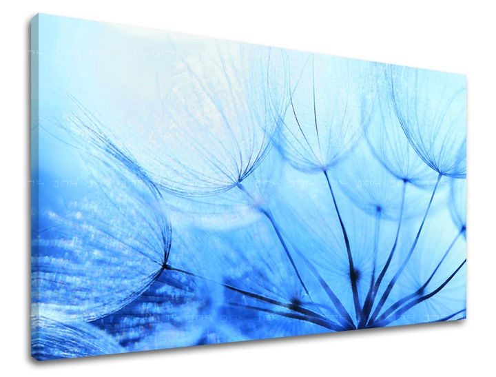 E-shop Obraz na stenu KVETY KV057E11 - 30x40 cm