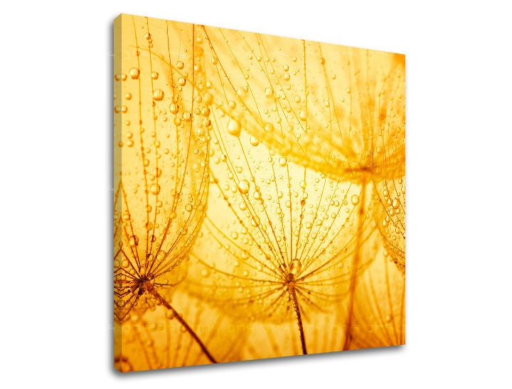 E-shop Obraz na stenu KVETY KV059E12 - 30x30 cm