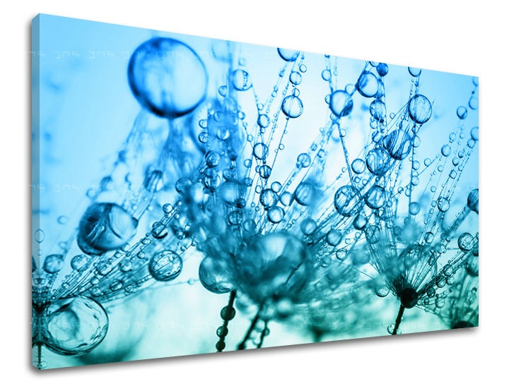E-shop Obraz na stenu KVETY KV060E11 - 40x60 cm