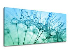 E-shop Obraz na stenu PANORÁMA KVETY Zľava 60 % 50x100 cm
