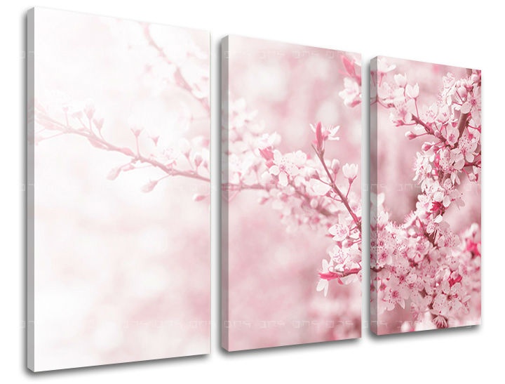 E-shop Obraz na stenu 3 dielny KVETY KV063E30 - 60x40 cm