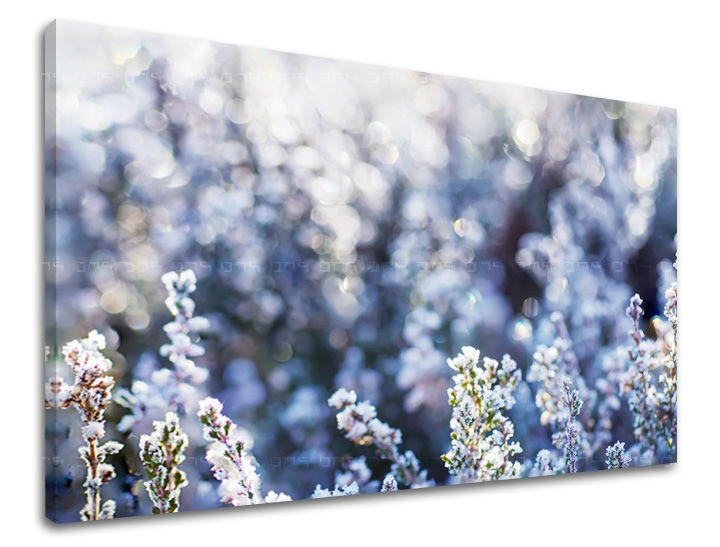 E-shop Obraz na stenu KVETY KV067E11 - 60x90 cm