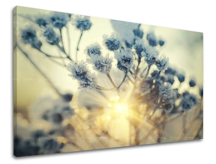 E-shop Obraz na stenu KVETY KV068E11 - 60x90 cm