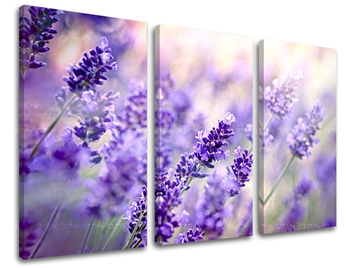 E-shop Obraz na stenu 3 dielny KVETY KV070E30 - 60x40 cm