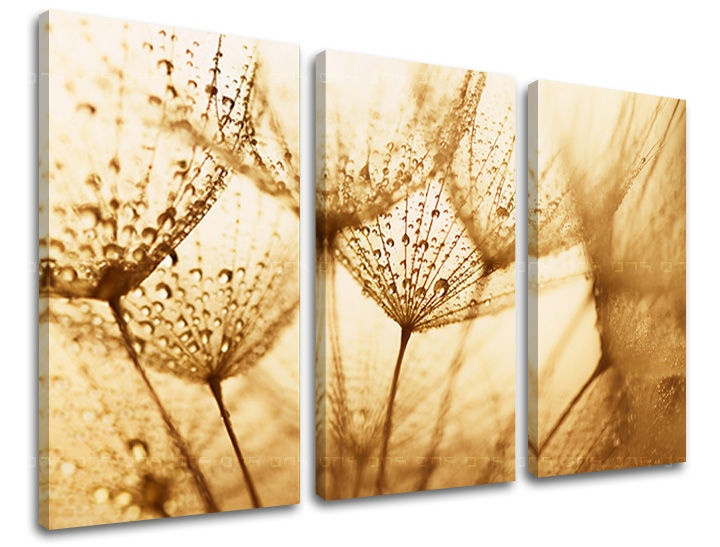 E-shop Obraz na stenu 3 dielny KVETY KV071E30 - 90x60 cm