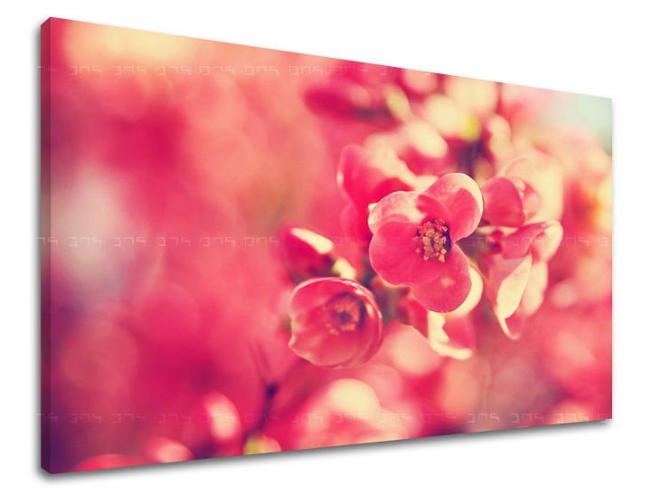E-shop Obraz na stenu KVETY KV072E11 - 100x150 cm