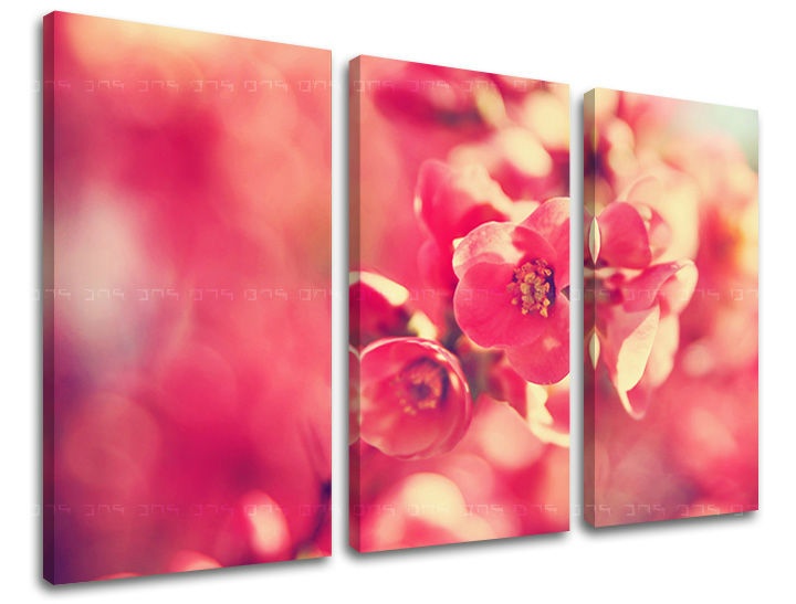 E-shop Obraz na stenu 3 dielny KVETY KV072E30 - 90x60 cm