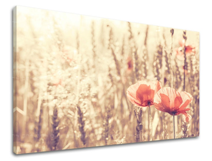 E-shop Obraz na stenu KVETY KV074E11 - 20x30 cm