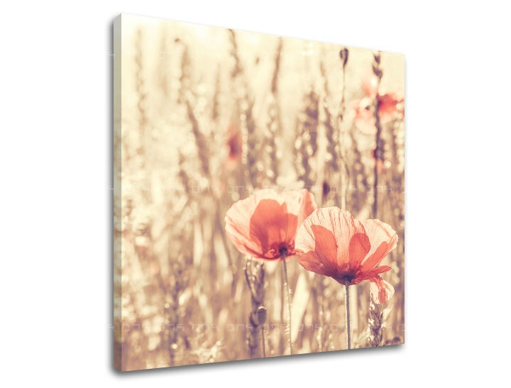 E-shop Obraz na stenu KVETY KV074E12 - 90x90 cm
