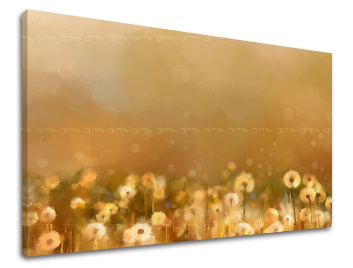 E-shop Obraz na stenu KVETY KV075E11 - 60x90 cm