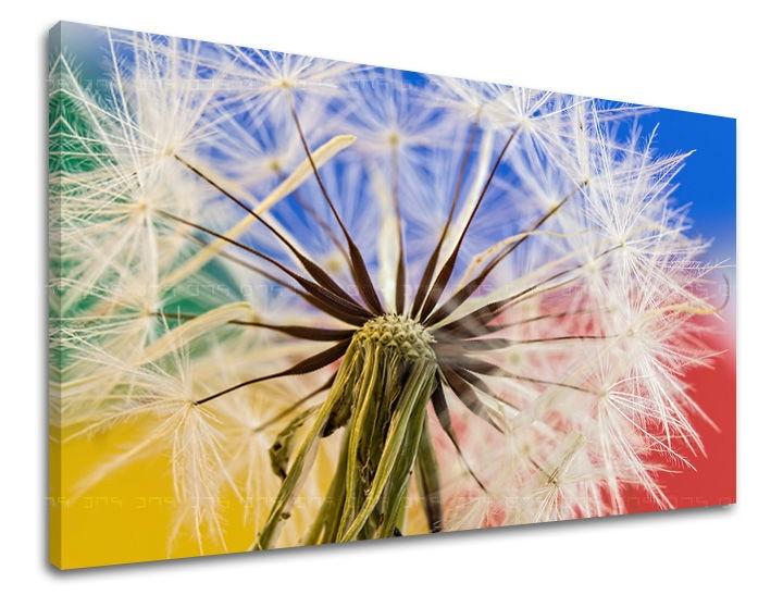 E-shop Obraz na stenu KVETY KV084E11 - 60x90 cm