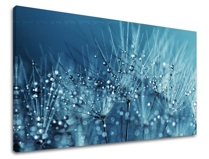 E-shop Obraz na stenu KVETY KV085E11 - 60x90 cm