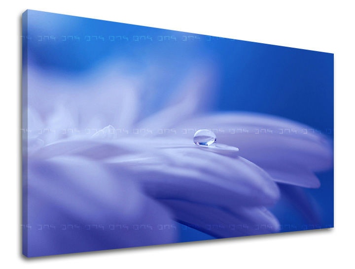 E-shop Obraz na stenu KVETY KV087E11 - 60x90 cm