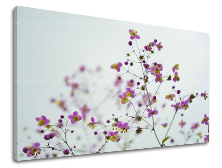 E-shop Obraz na stenu KVETY KV089E11 - 60x90 cm