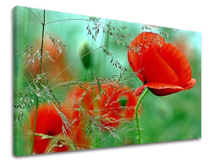 E-shop Obraz na stenu KVETY KV094E11 - 60x90 cm
