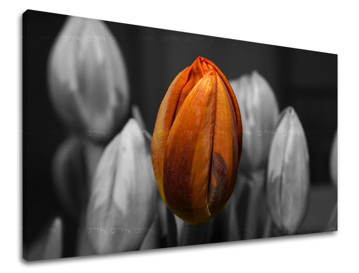 E-shop Obraz na stenu KVETY KV095E11 - 20x30 cm