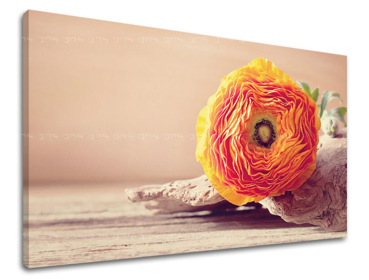 E-shop Obraz na stenu KVETY KV098E11 - 40x60 cm