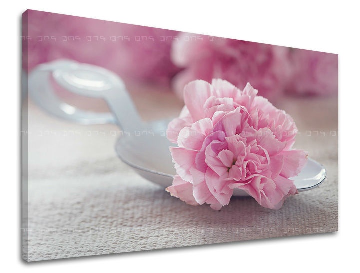 E-shop Obraz na stenu KVETY KV100E11 - 60x90 cm