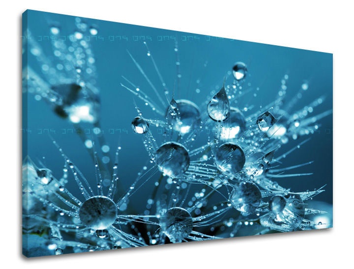 E-shop Obraz na stenu KVETY KV101E11 - 40x60 cm
