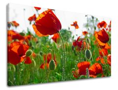 E-shop Obraz na stenu KVETY MAKY Zľava 60 % 60x90 cm