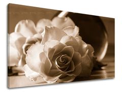 E-shop Obraz na stenu KVETY RUŽE 40x60 cm