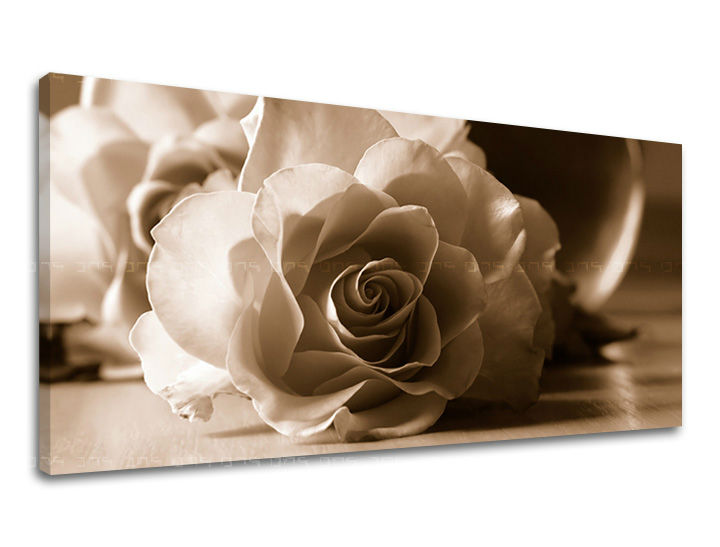 E-shop Obraz na stenu Panoráma KVETY 40x80 cm