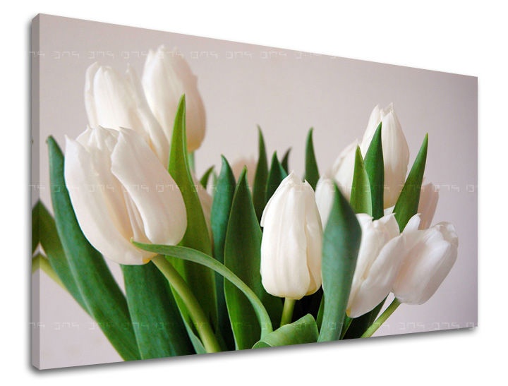 E-shop Obraz na stenu KVETY TULIPÁNY XOBKV108E11 - 40x60 cm