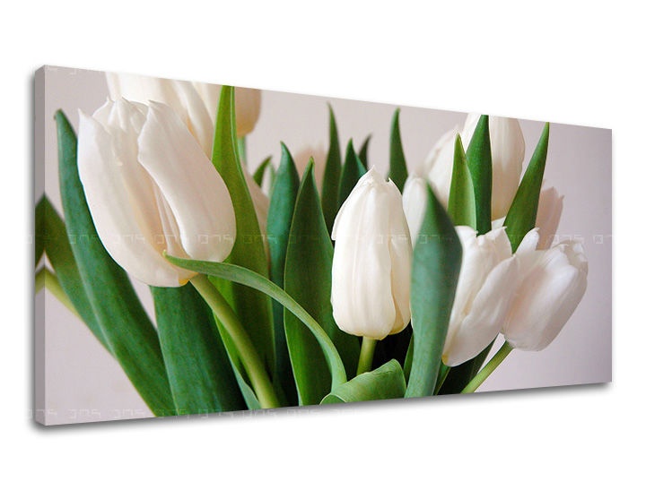E-shop Obraz na stenu Panoráma KVETY XOBKV108E13 - 30x60 cm