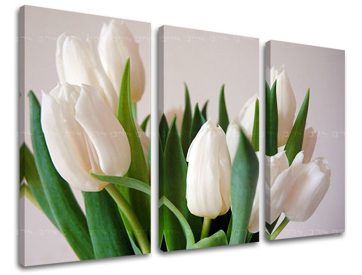 E-shop Obraz na stenu 3 dielny KVETY XOBKV108E30 - 90x60 cm