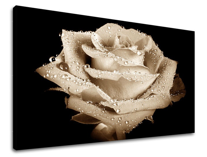 Levně Nástěnná malba KVĚTY RŮŽÍ XOBKV109E11