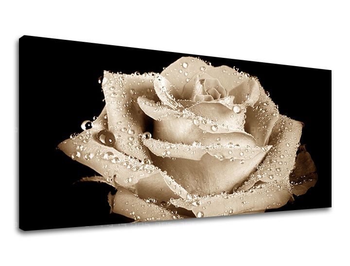 E-shop Obraz na stenu Panoráma KVETY XOBKV109E13 - 30x60 cm