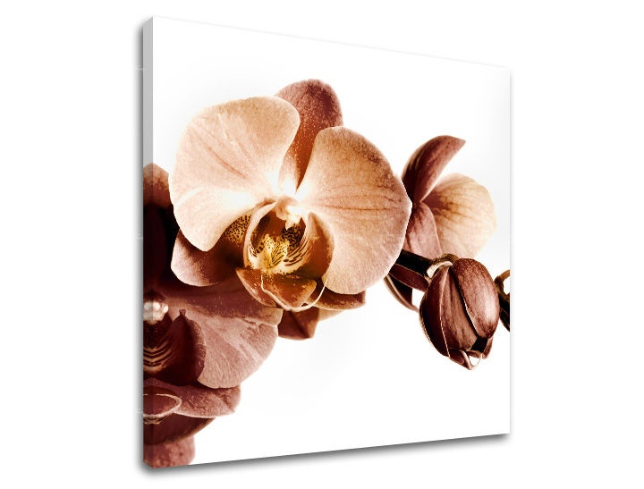 E-shop Obraz na stenu KVETY XOBKV110E12 - 90x90 cm