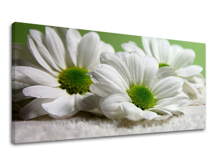 E-shop Obraz na stenu Panoráma KVETY XOBKV111E13 - 30x60 cm