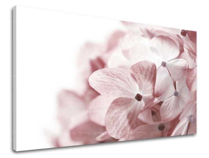 E-shop Obraz na stenu KVETY XOBKV114E11 - 40x60 cm
