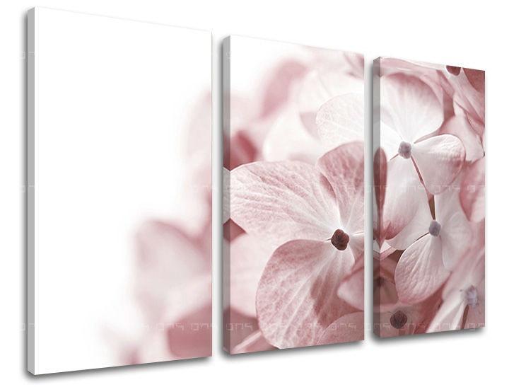 E-shop Obraz na stenu 3 dielny KVETY XOBKV114E30 - 120x80 cm