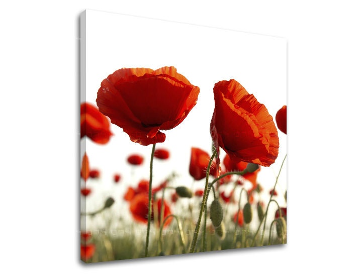 E-shop Obraz na stenu KVETY XOBKV118E12 - 90x90 cm