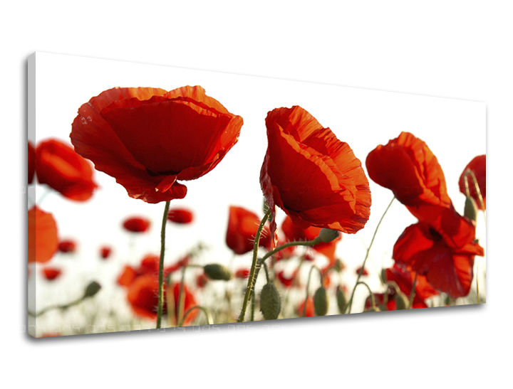 E-shop Obraz na stenu Panoráma KVETY 60x120 cm