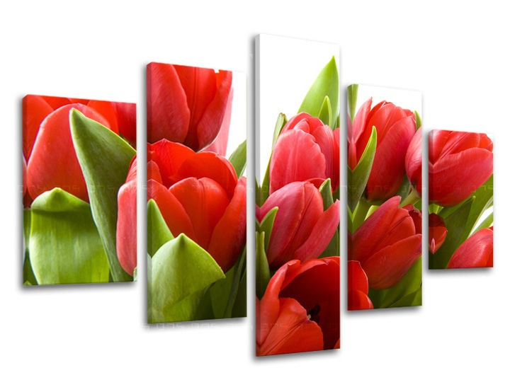E-shop Obraz na stenu 5 dielny KVETY XOBKV120E50 - 100x80 cm