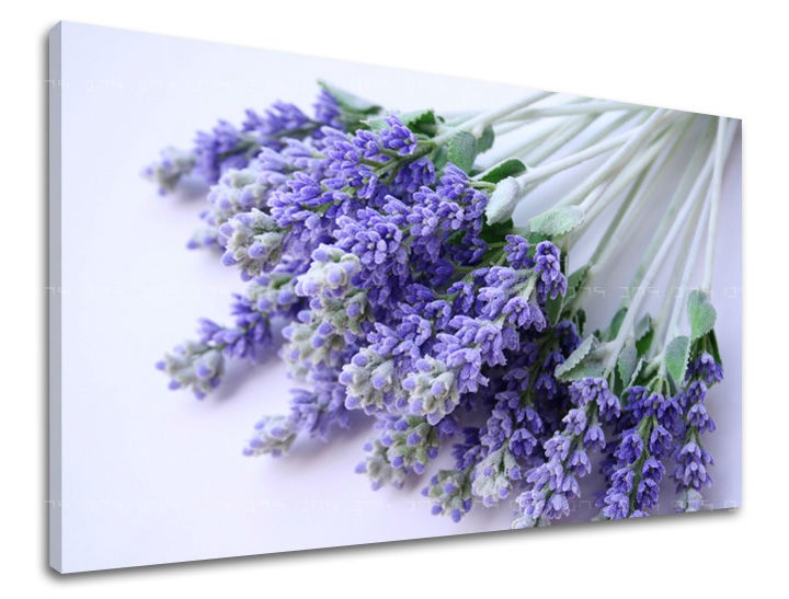 E-shop Obraz na stenu KVETY XOBKV122E11 - 30x40 cm