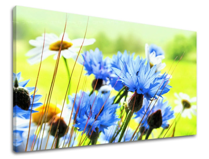 E-shop Obraz na stenu KVETY XOBKV125E11 - 30x40 cm